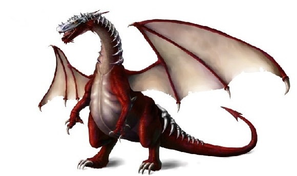 학생 포트폴리오