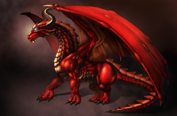 학생 포트폴리오